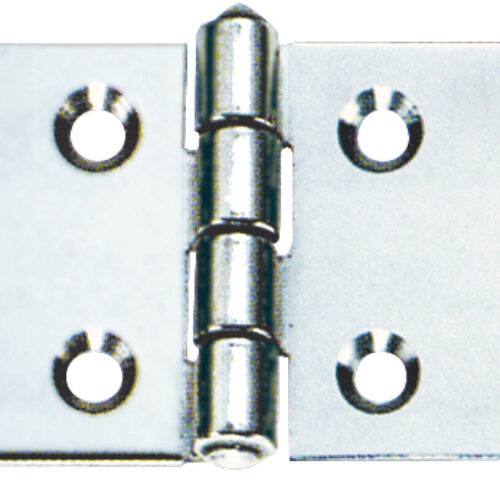 Cerniera in Acciaio Inox a libro lucidata